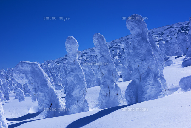 蔵王の樹氷
(c)YOSHITSUGU NISHIGAKI/SEBUN PHOTO