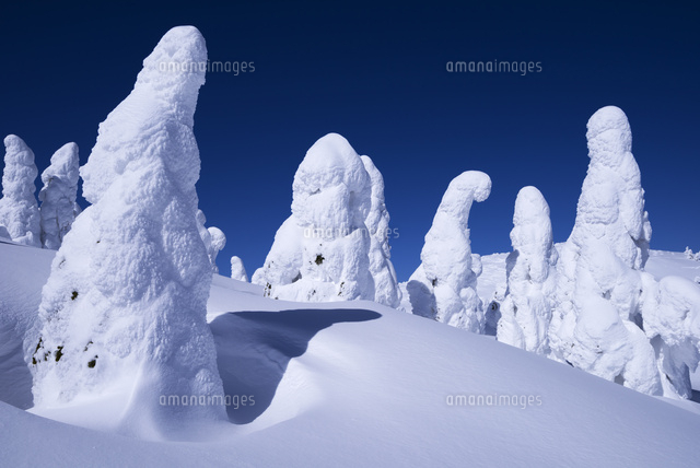 蔵王の樹氷
(c)YOSHITSUGU NISHIGAKI/SEBUN PHOTO