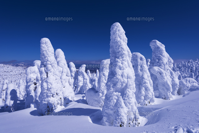 蔵王の樹氷
(c)YOSHITSUGU NISHIGAKI/SEBUN PHOTO