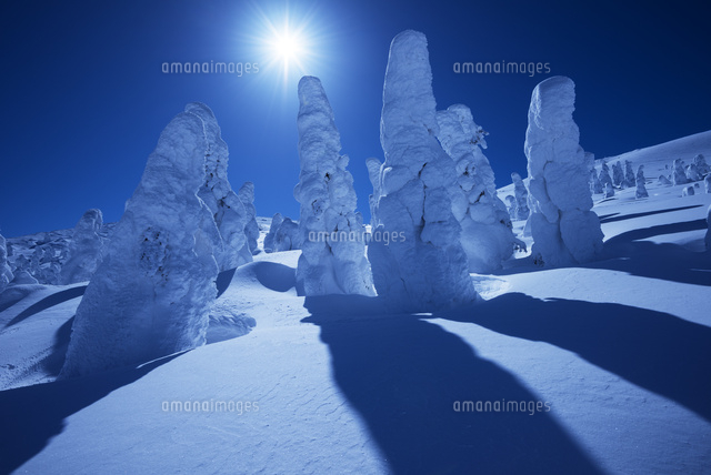 蔵王の樹氷
(c)YOSHITSUGU NISHIGAKI/SEBUN PHOTO