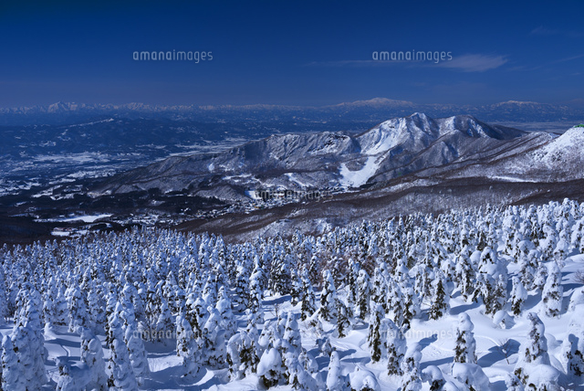 蔵王の樹氷
(c)YOSHITSUGU NISHIGAKI/SEBUN PHOTO