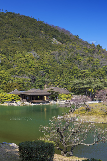 梅と栗林公園
(c)YOSHITSUGU NISHIGAKI/SEBUN PHOTO