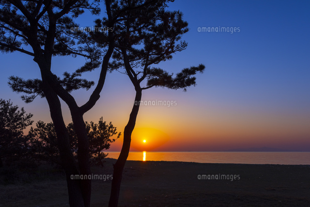 慶野松原の夕陽
(c)YOSHITSUGU NISHIGAKI/SEBUN PHOTO