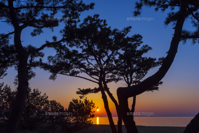 慶野松原の夕陽
(c)YOSHITSUGU NISHIGAKI/SEBUN PHOTO