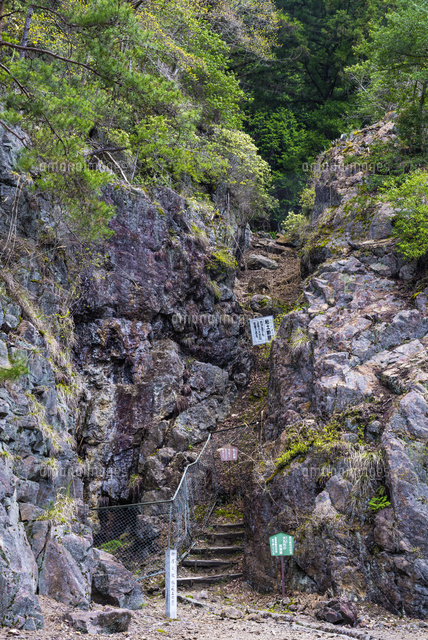ヒカゲツツジ咲く生野銀山
(c)YOSHITSUGU NISHIGAKI/SEBUN PHOTO