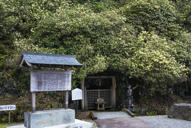 ヒカゲツツジ咲く生野銀山
(c)YOSHITSUGU NISHIGAKI/SEBUN PHOTO