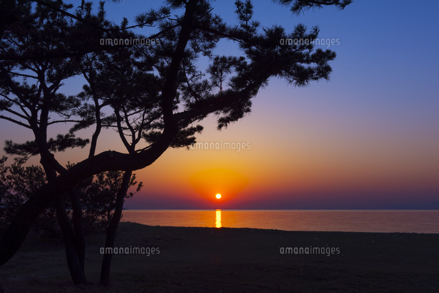 慶野松原の夕陽
(c)YOSHITSUGU NISHIGAKI/SEBUN PHOTO