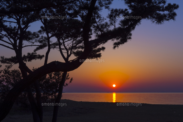 慶野松原の夕陽
(c)YOSHITSUGU NISHIGAKI/SEBUN PHOTO