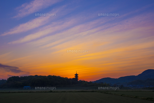 朝焼けの備中国分寺
(c)YOSHITSUGU NISHIGAKI/SEBUN PHOTO