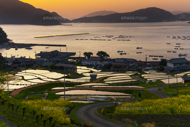 朝の日引の棚田
(c)YOSHITSUGU NISHIGAKI/SEBUN PHOTO