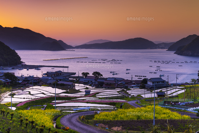朝の日引の棚田
(c)YOSHITSUGU NISHIGAKI/SEBUN PHOTO