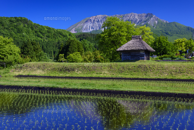 水田と大山
(c)YOSHITSUGU NISHIGAKI/SEBUN PHOTO