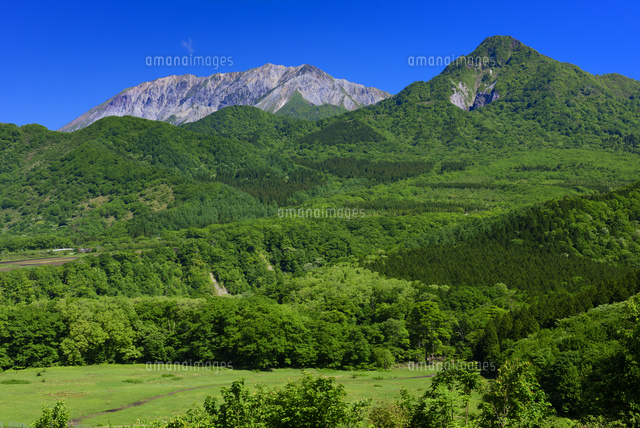 鬼女台より大山と烏ヶ山
(c)YOSHITSUGU NISHIGAKI/SEBUN PHOTO