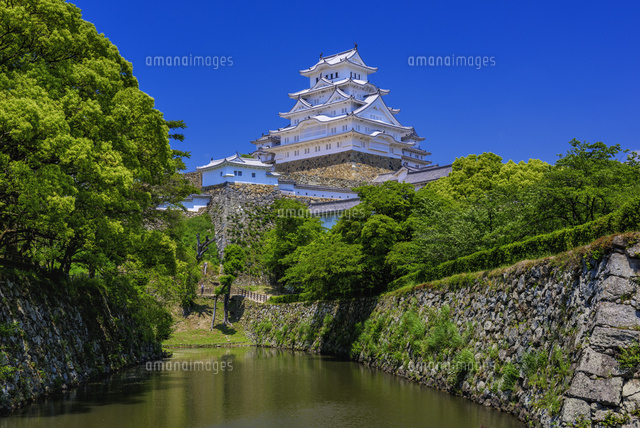 姫路城
(c)YOSHITSUGU NISHIGAKI/SEBUN PHOTO