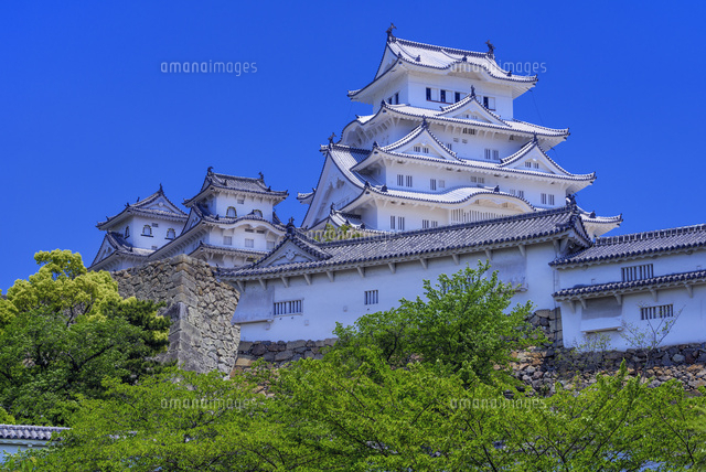姫路城
(c)YOSHITSUGU NISHIGAKI/SEBUN PHOTO
