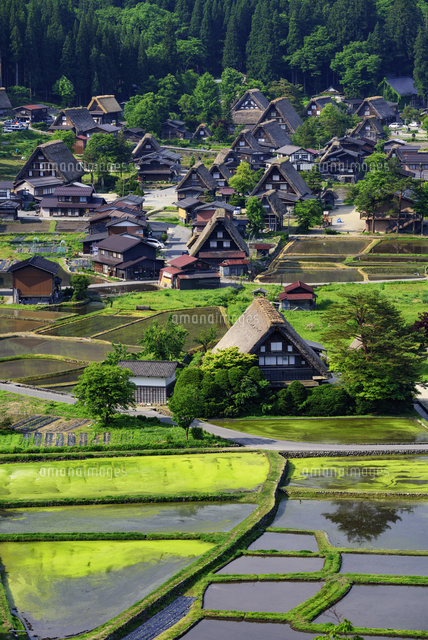 展望台より白川郷
(c)YOSHITSUGU NISHIGAKI/SEBUN PHOTO