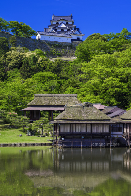玄宮園と彦根城
(c)YOSHITSUGU NISHIGAKI/SEBUN PHOTO
