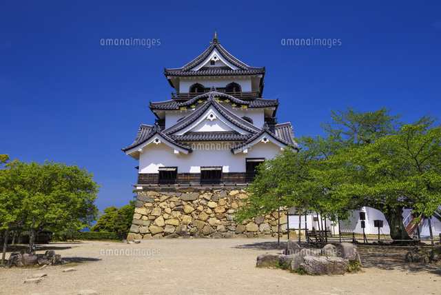 彦根城
(c)YOSHITSUGU NISHIGAKI/SEBUN PHOTO