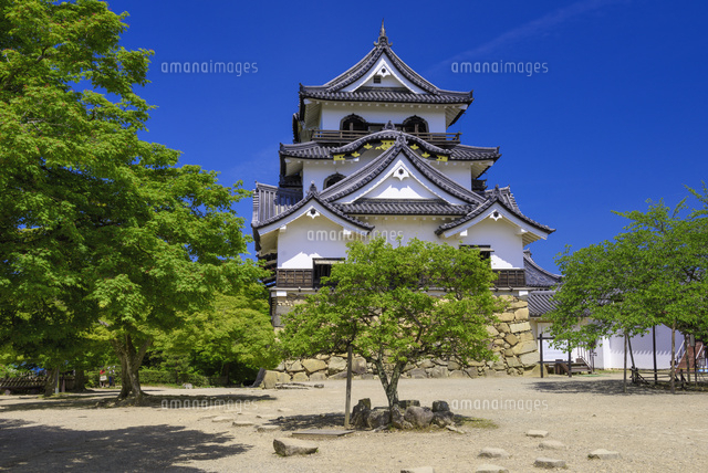 彦根城
(c)YOSHITSUGU NISHIGAKI/SEBUN PHOTO