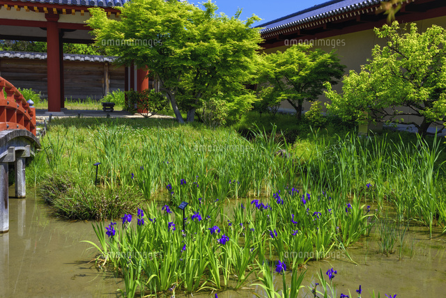 平城宮跡の東院庭園
(c)YOSHITSUGU NISHIGAKI/SEBUN PHOTO