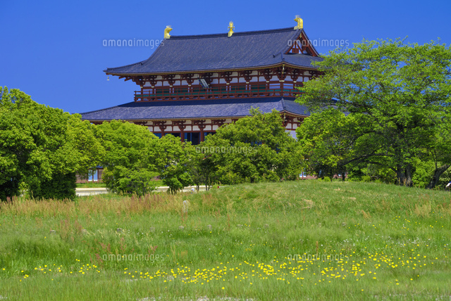 平城宮跡の第一次大極殿
(c)YOSHITSUGU NISHIGAKI/SEBUN PHOTO