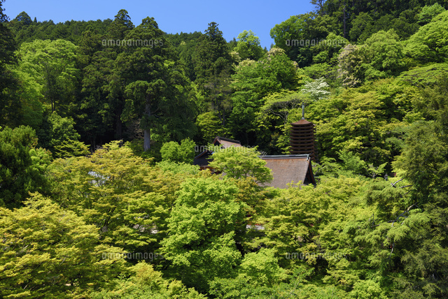 談山神社
(c)YOSHITSUGU NISHIGAKI/SEBUN PHOTO