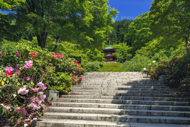 勝尾寺
(c)YOSHITSUGU NISHIGAKI/SEBUN PHOTO