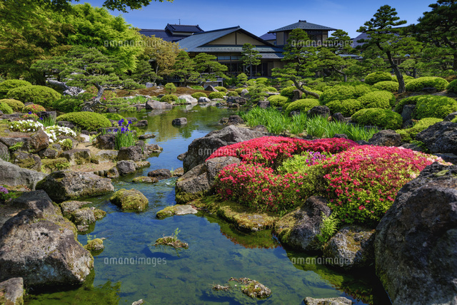 ツツジ咲く由志園
(c)YOSHITSUGU NISHIGAKI/SEBUN PHOTO