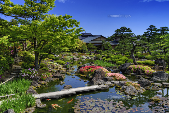 ツツジ咲く由志園
(c)YOSHITSUGU NISHIGAKI/SEBUN PHOTO