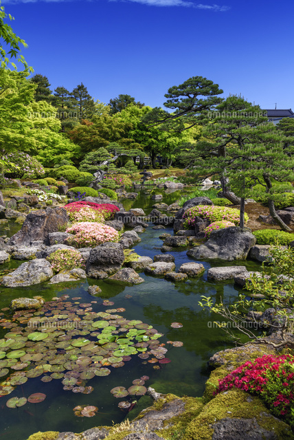ツツジ咲く由志園
(c)YOSHITSUGU NISHIGAKI/SEBUN PHOTO