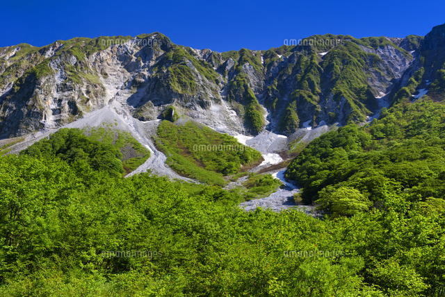 元谷より大山
(c)YOSHITSUGU NISHIGAKI/SEBUN PHOTO