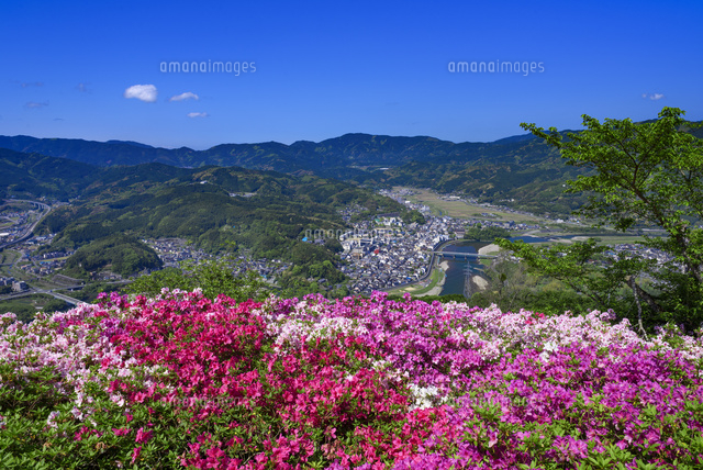 ツツジ咲く冨士山公園
(c)YOSHITSUGU NISHIGAKI/SEBUN PHOTO
