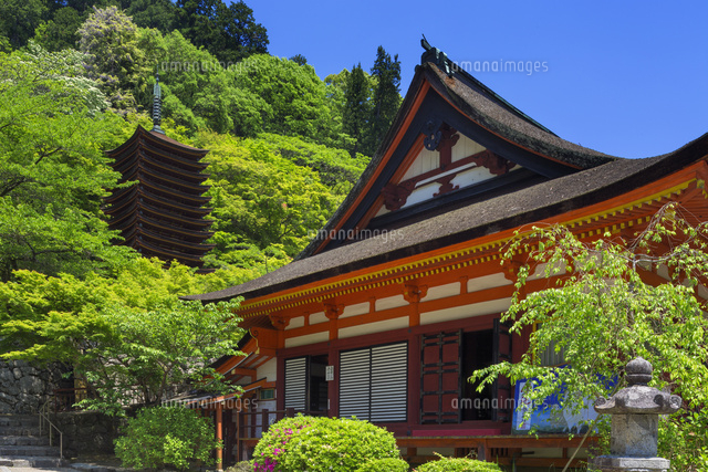 談山神社
(c)YOSHITSUGU NISHIGAKI/SEBUN PHOTO