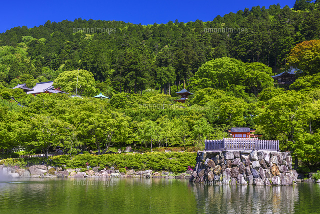 勝尾寺
(c)YOSHITSUGU NISHIGAKI/SEBUN PHOTO