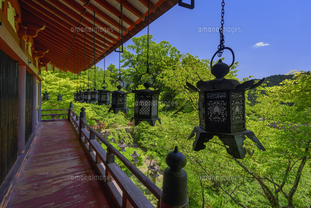 談山神社
(c)YOSHITSUGU NISHIGAKI/SEBUN PHOTO