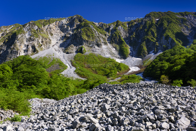 元谷より大山
(c)YOSHITSUGU NISHIGAKI/SEBUN PHOTO