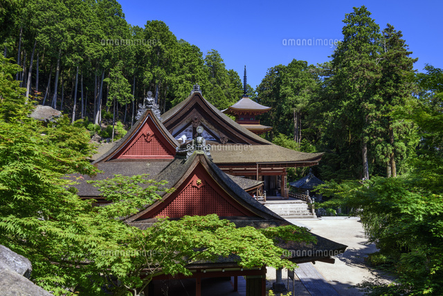 長命寺
(c)YOSHITSUGU NISHIGAKI/SEBUN PHOTO