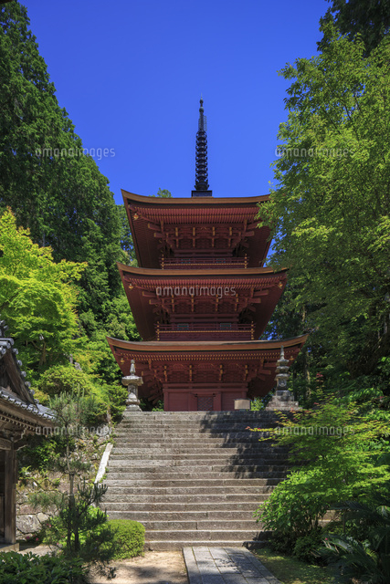 長命寺
(c)YOSHITSUGU NISHIGAKI/SEBUN PHOTO