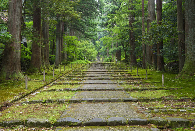 平泉寺白山神社
(c)YOSHITSUGU NISHIGAKI/SEBUN PHOTO