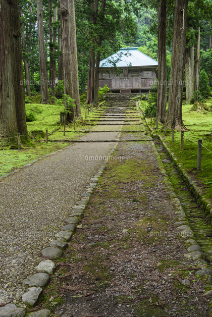 平泉寺白山神社
(c)YOSHITSUGU NISHIGAKI/SEBUN PHOTO