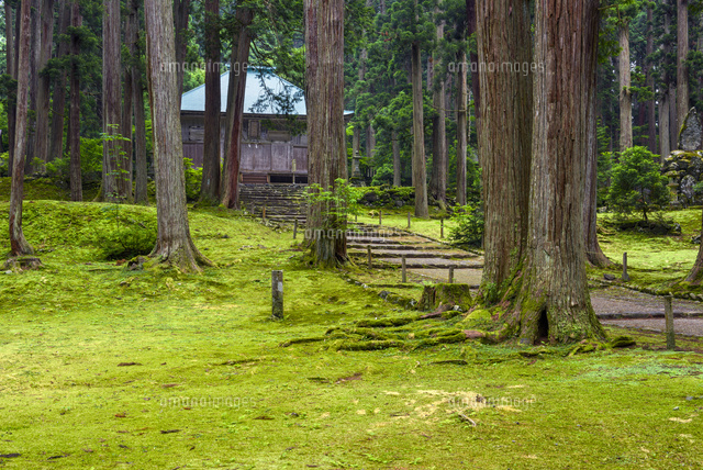 平泉寺白山神社
(c)YOSHITSUGU NISHIGAKI/SEBUN PHOTO