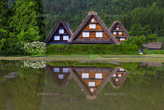 田園と白川郷
(c)YOSHITSUGU NISHIGAKI/SEBUN PHOTO