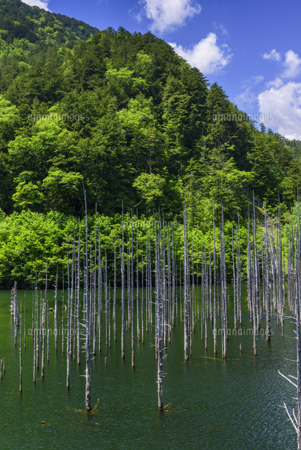 自然湖
(c)YOSHITSUGU NISHIGAKI/SEBUN PHOTO