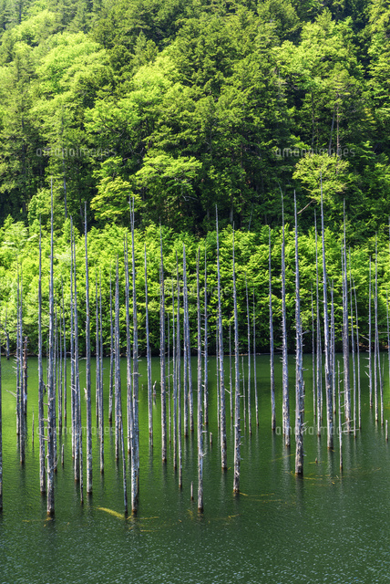 自然湖
(c)YOSHITSUGU NISHIGAKI/SEBUN PHOTO
