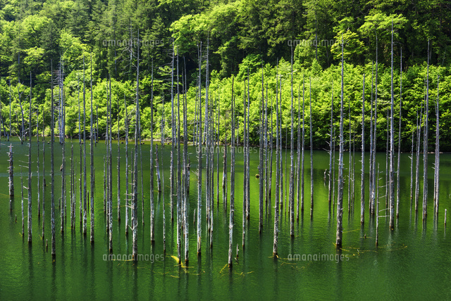 自然湖
(c)YOSHITSUGU NISHIGAKI/SEBUN PHOTO