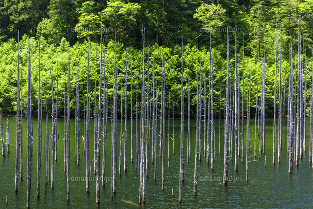 自然湖
(c)YOSHITSUGU NISHIGAKI/SEBUN PHOTO