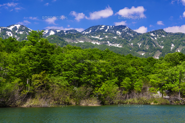 新緑の鎌池
(c)YOSHITSUGU NISHIGAKI/SEBUN PHOTO