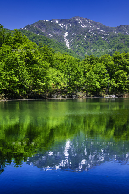 新緑の苅込池と白山
(c)YOSHITSUGU NISHIGAKI/SEBUN PHOTO