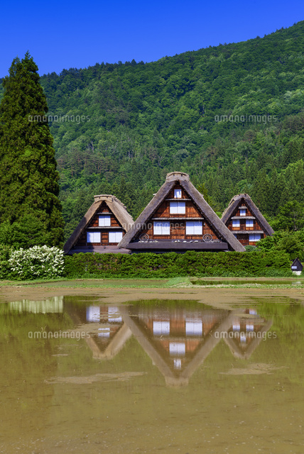 田園と白川郷
(c)YOSHITSUGU NISHIGAKI/SEBUN PHOTO