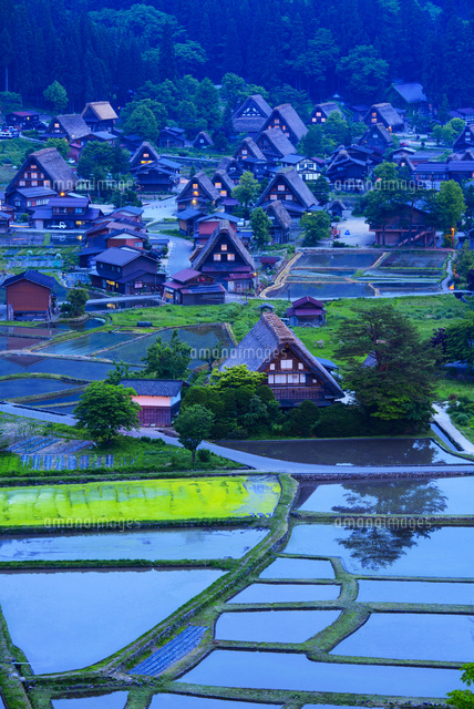 田園と白川郷の夜景
(c)YOSHITSUGU NISHIGAKI/SEBUN PHOTO